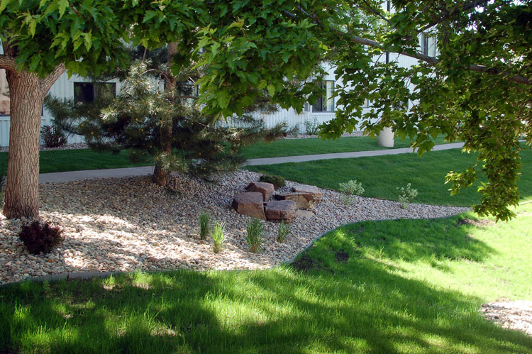 Landscaping---south-of-DR-doors